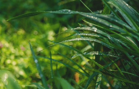 을목일간 여성의 성격, 연애, 직업적 특징