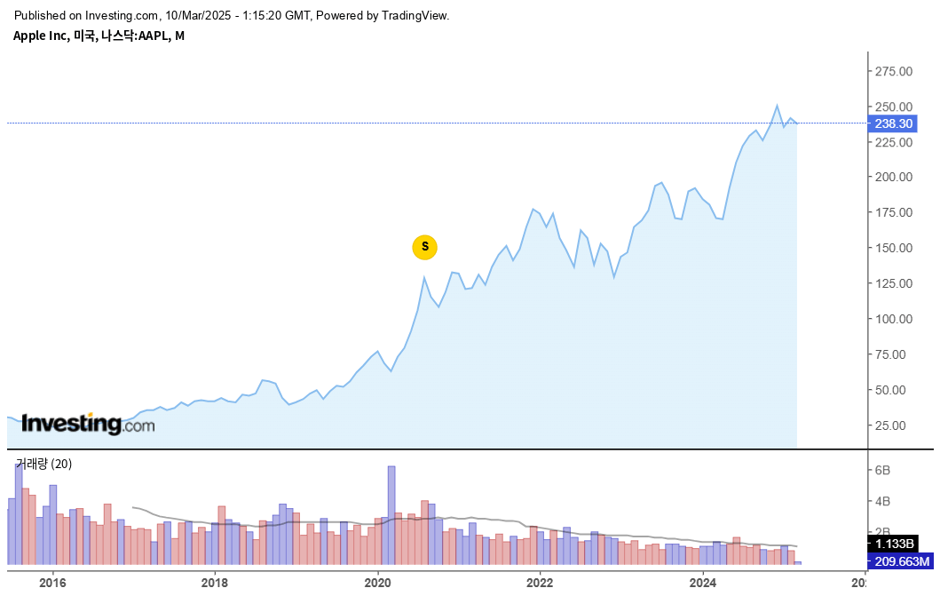 애플 주가 변동 추이