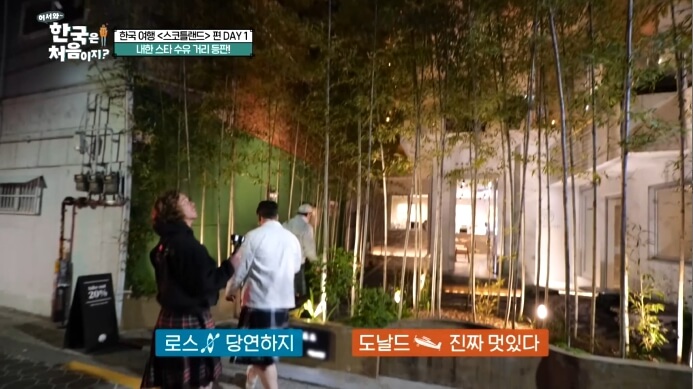 어서와한국은처음이지-대나무카페