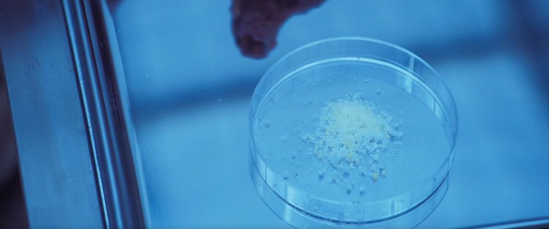 소방서옆경찰서그리고국과수_10회