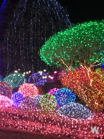 별빛축제 이미지 3