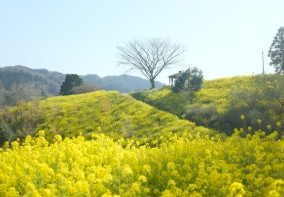 제주-한-달-살기-3