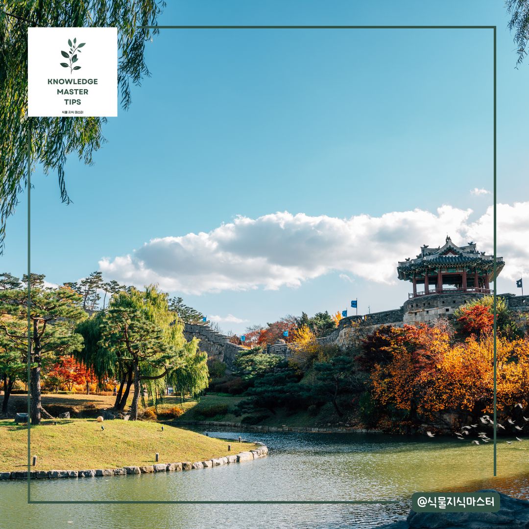 경기도 단풍 명소 - 수원 화성