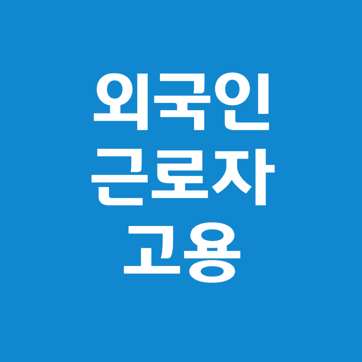2025년 최신 법규 반영: 중소기업을 위한 외국인 근로자 고용 완전 정복 가이드