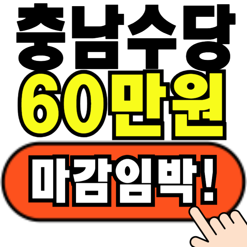 충남 손주돌봄비용 신청 방법
