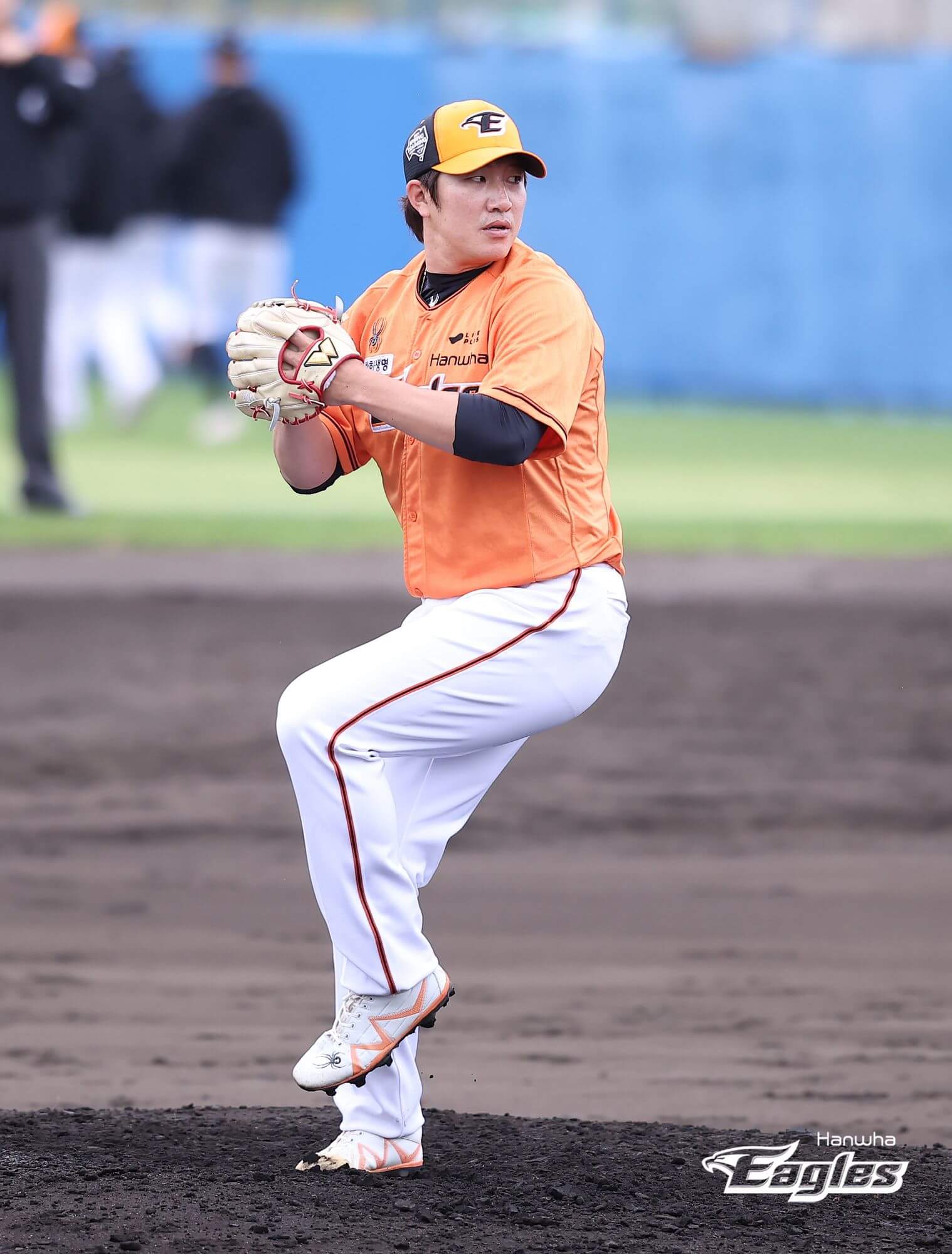 2024 한화 이글스 티켓 할인 예매&amp;#44; 무료 주차&amp;#44; 좌석 종류 및 특징&amp;#44; 경기일정 및 결과