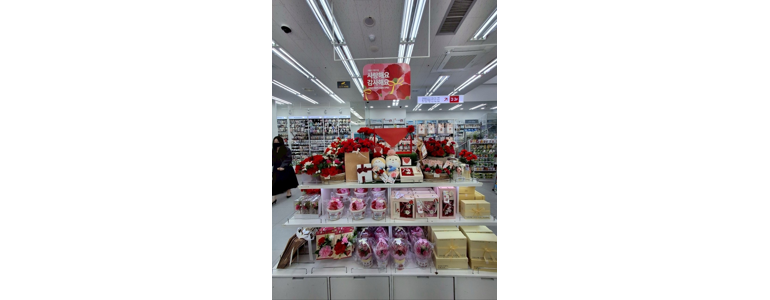 원주시 종합생활용품 다이소