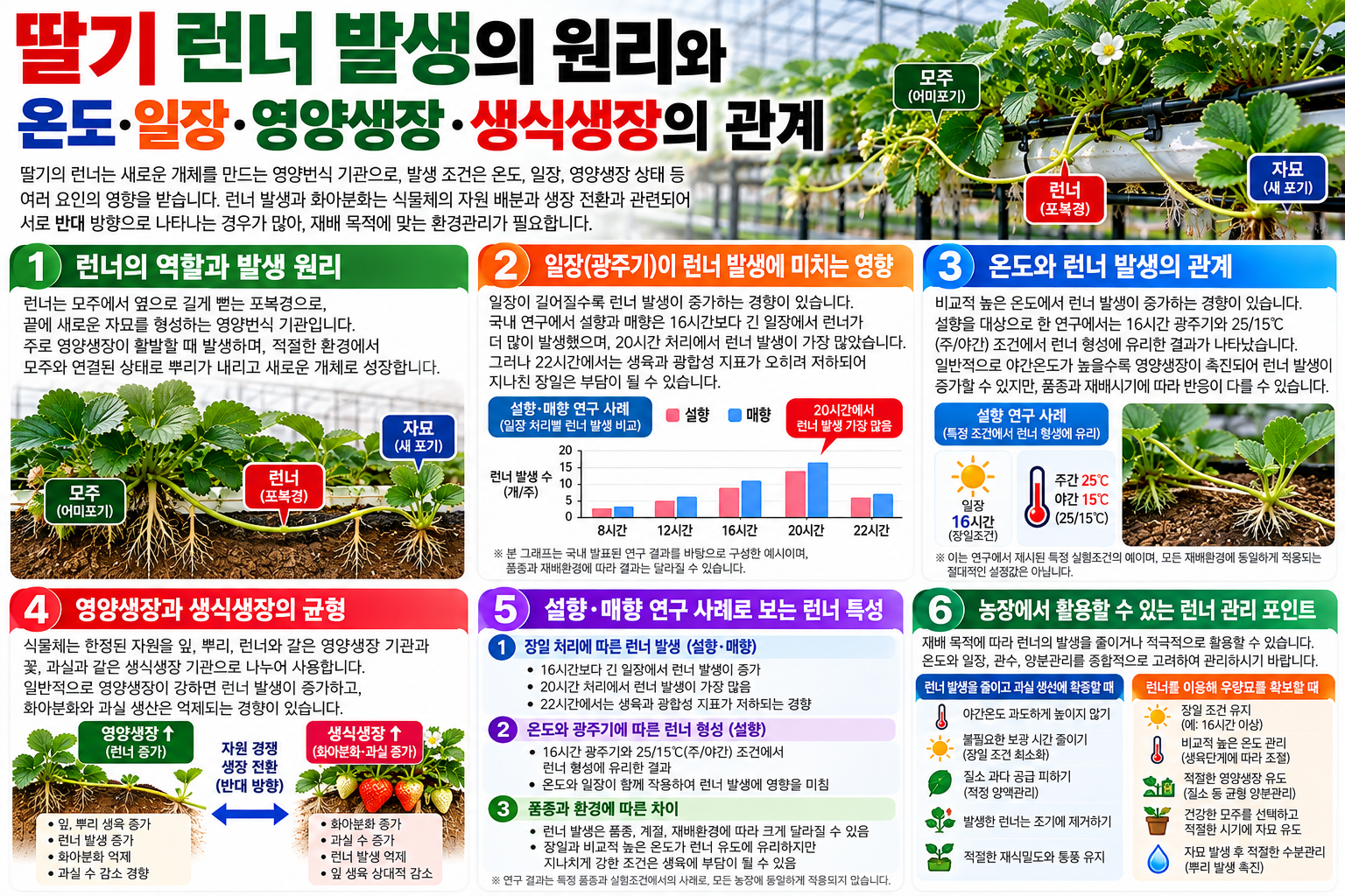딸기 런너 발생의 원리와 온도&middot;일장&middot;영양생장&middot;생식생장의 관계