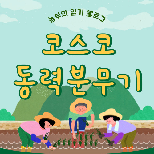 코스코 동력분무기