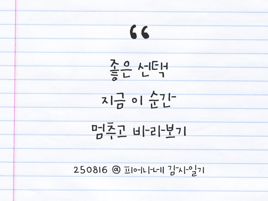 25년 8월 16일 오늘 내 마음 기록하기 감사노트, 감사를 통해 발견한 행복, 오늘 감사한 순간들 by 피어나네 감사일기