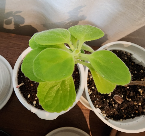 순따기해준후 모습