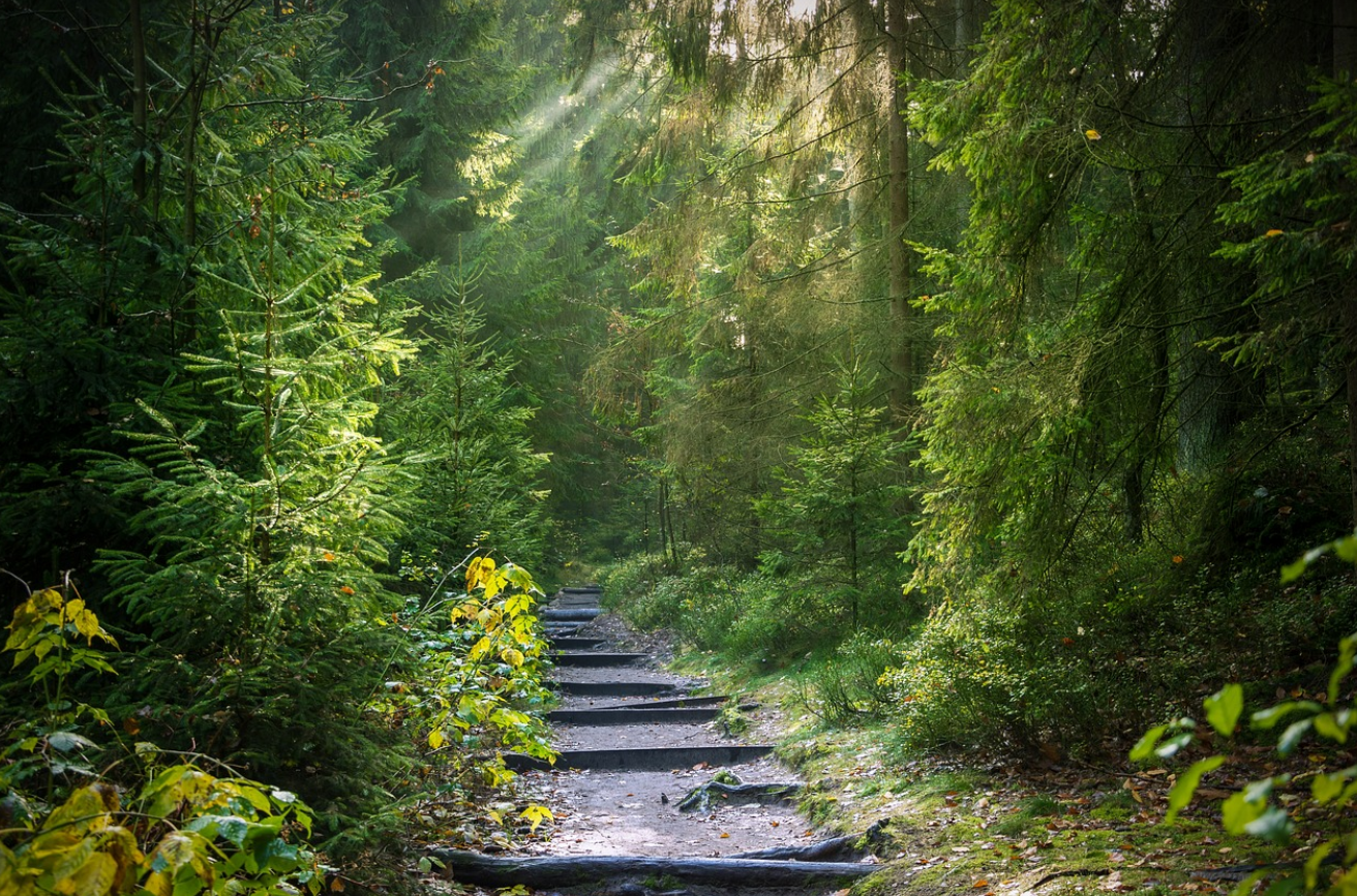 κ΅λ¦½μμ°ν΄μλ¦Ό μμ½