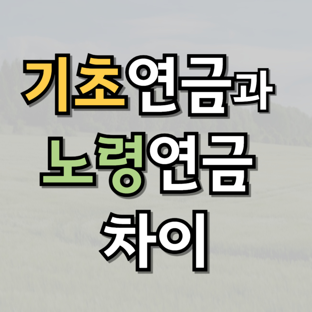 기초연금과 노령연금의 차이