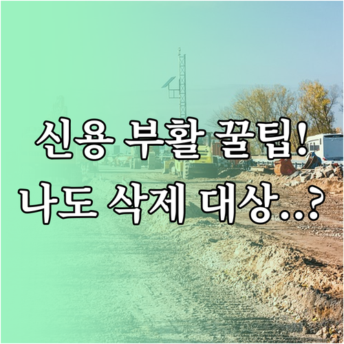 5천만원 이하 소액 연체 기록 삭제 ..