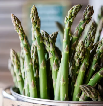 비타민E가 많은 음식