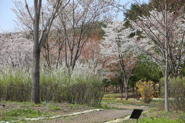 국립 백두대간수목원