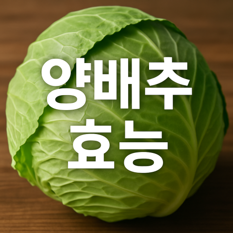 양배추 효능 대표 이미지