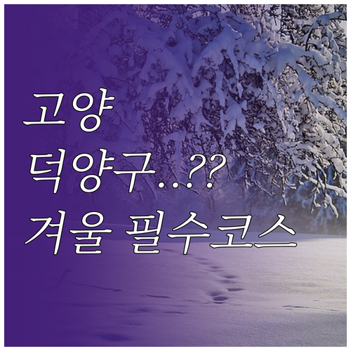 겨울 나들이 추천 고양 덕양구 명소 ..