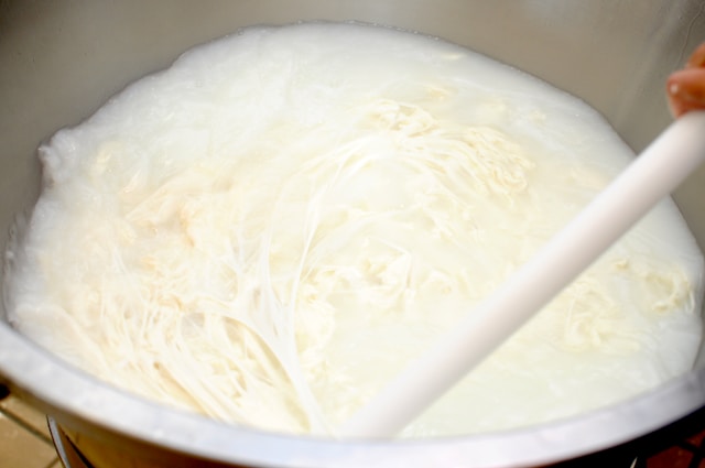 콩국수 관련 이미지