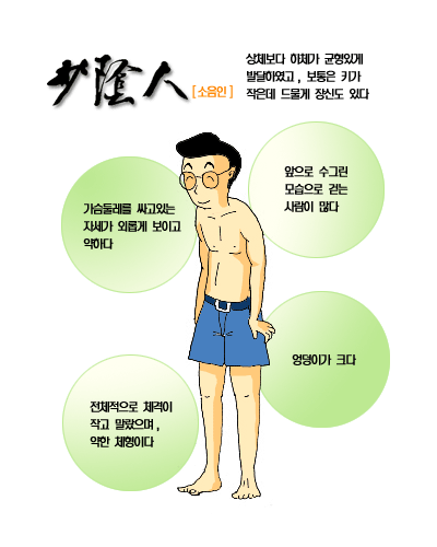 사상체질 중에 소음인의 체형과 얼굴형, 그리고 각종 특성을 잘 설명하고 있는 만화 이미지