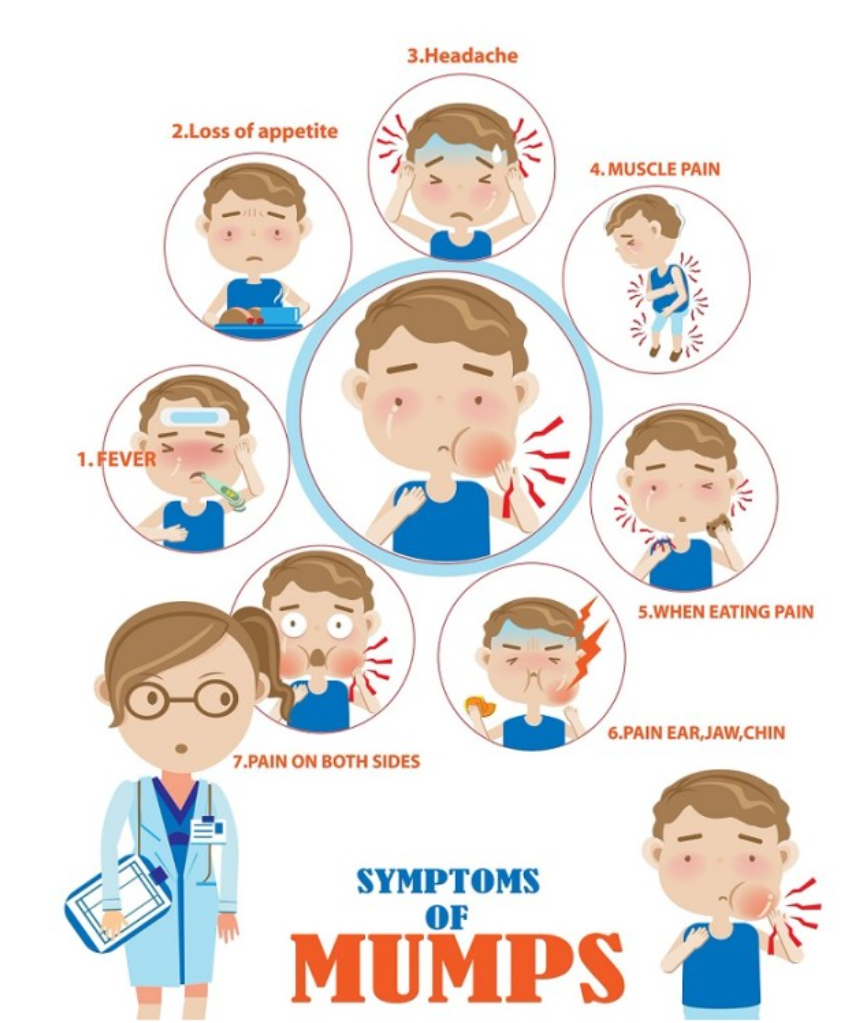 유행성-이하선염-증상