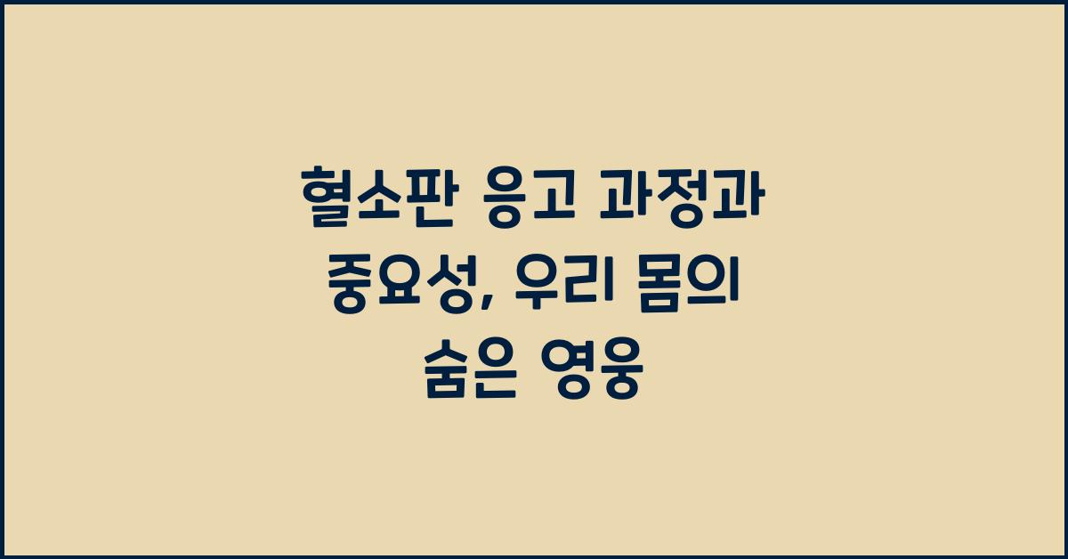 혈소판 응고 과정과 중요성