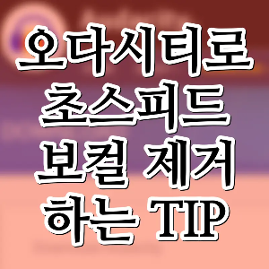 오다시티로 초스피드 보컬 제거
