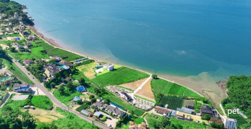 경기-인천-바다다캠핑장-예약-방법-애견-동반-가격-주소-시간-후기