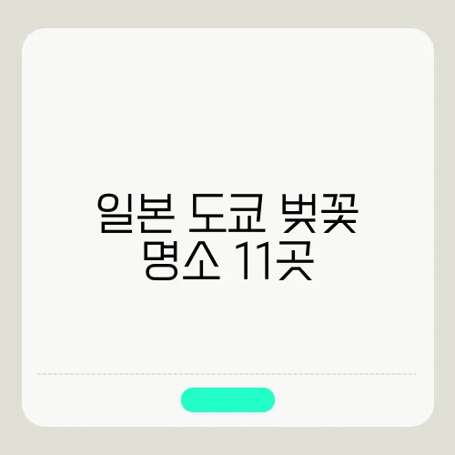일본 도쿄 벚꽃 명소 11곳, 특징, 벚꽃 개화, 만개 시기 알아보기