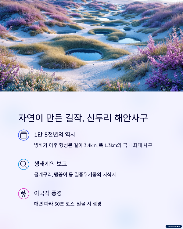 국내 최대 해안사구를 걷다 – 태안 신두리 해안사구