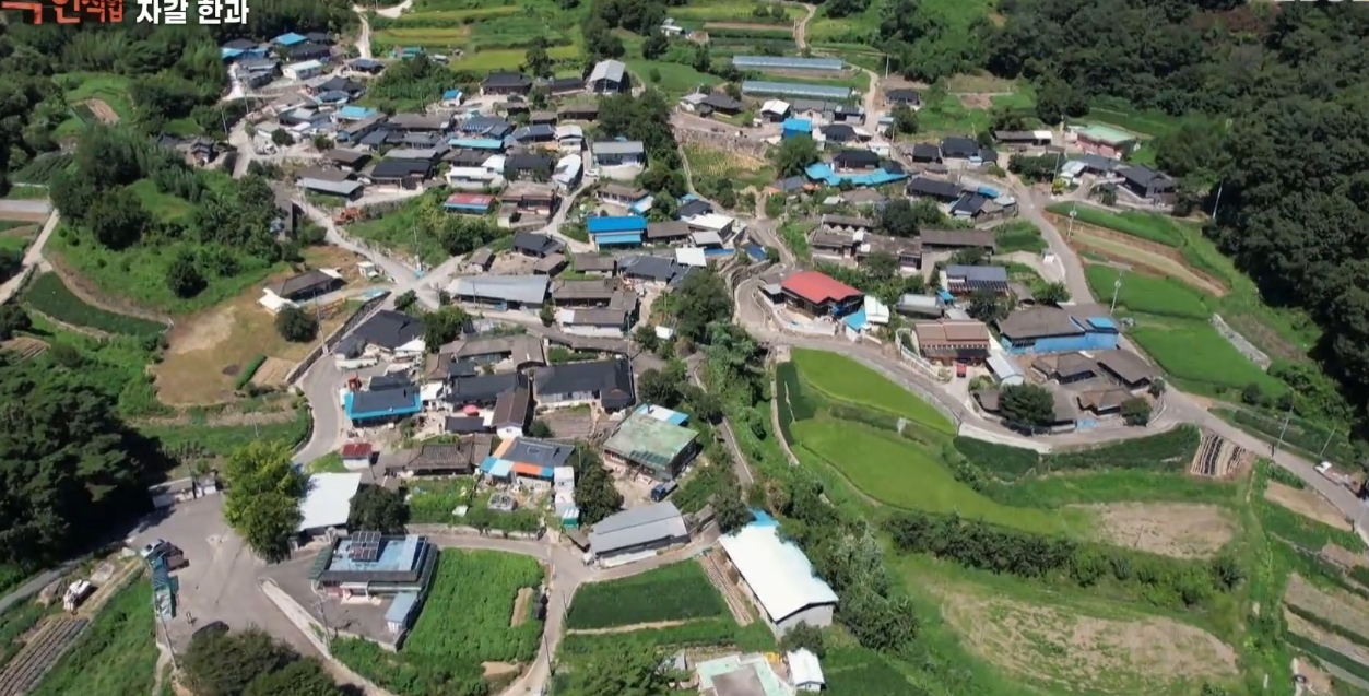 극한직업 자갈한과