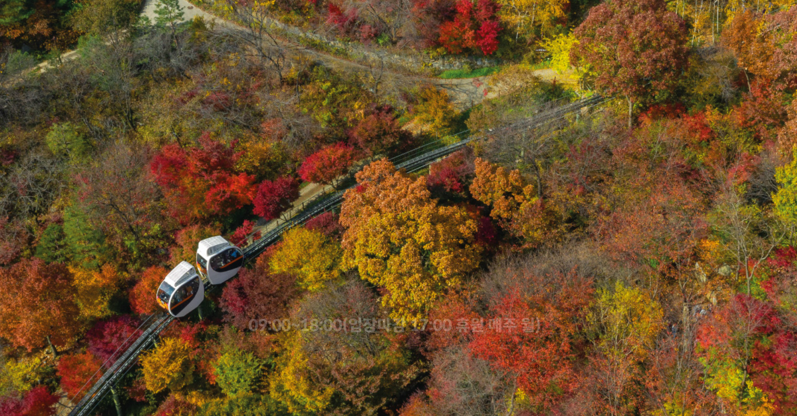 화담숲-가을-단풍시즌-화담채-전시관람-모노레일-예약방법