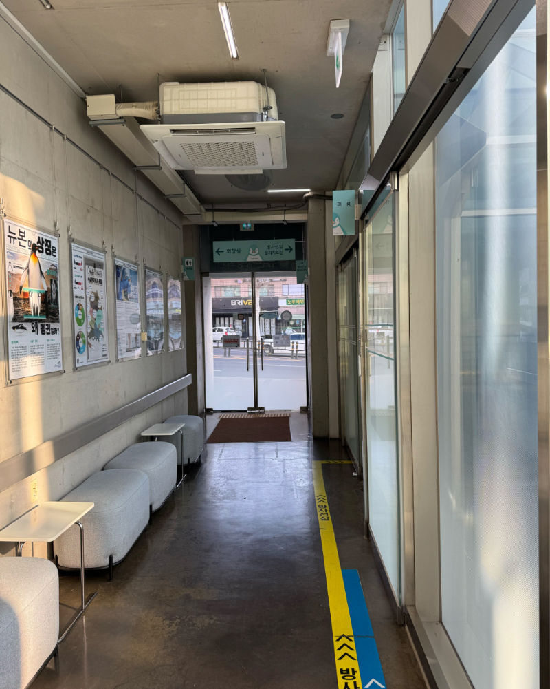 양천구 신월5동 정형외과 유명하고 잘하는 곳 추천 TOP 5