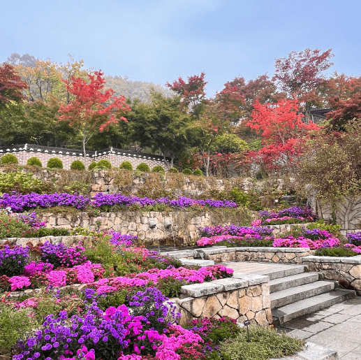 화담숲 홈페이지 예약 사진