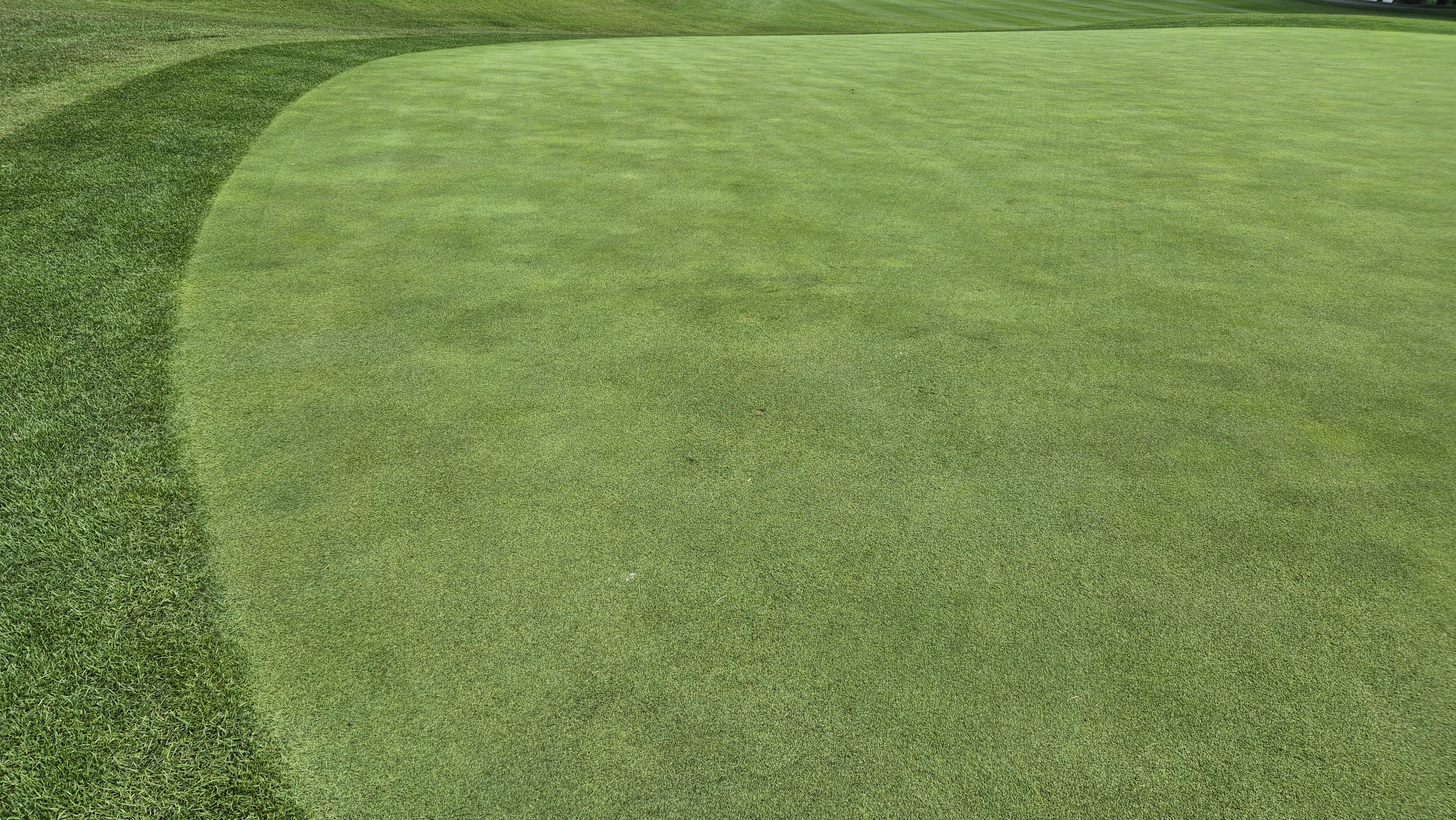 한성cc 오렌지-그린 코스 라운드 후기