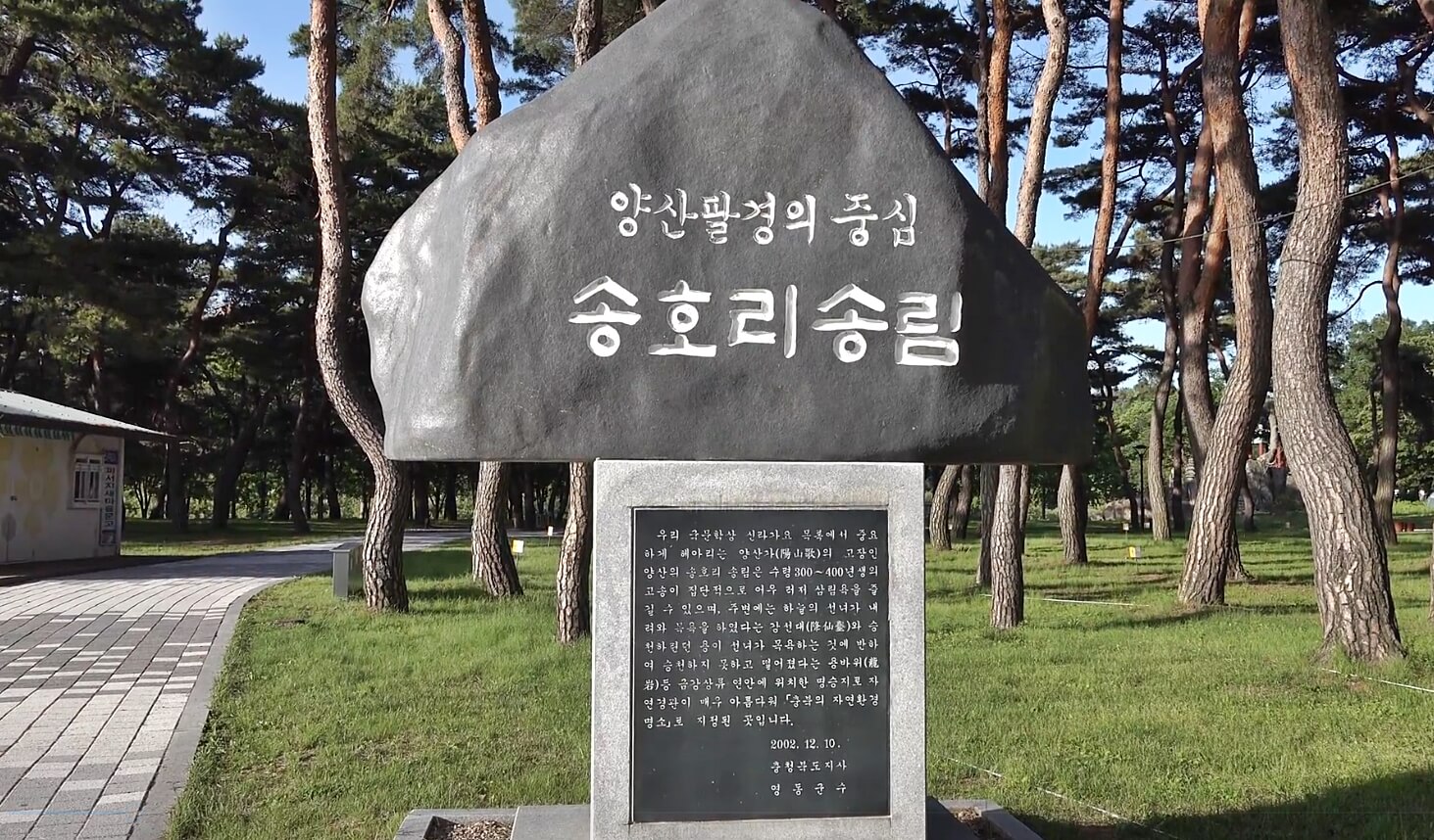 송호리송림