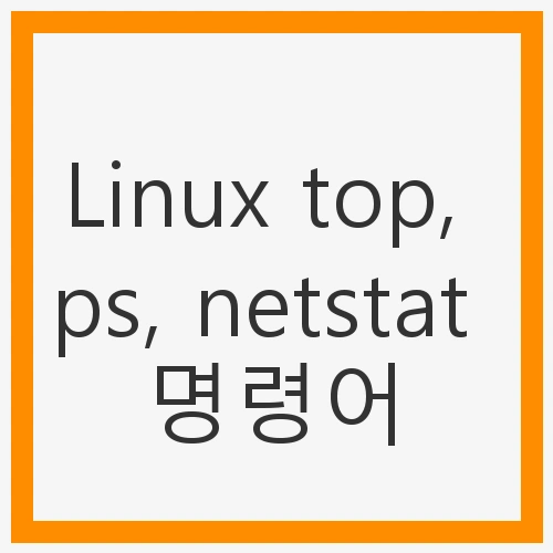 Linux top, ps, netstat 명령어