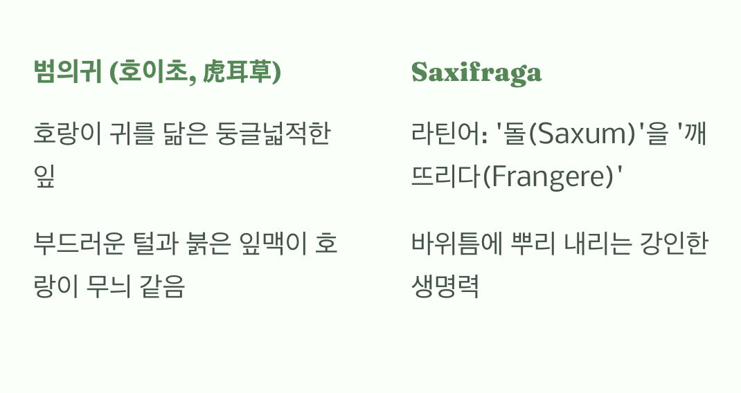 '호랑이 귀'와 '돌 깨는 풀', 이름의 비밀