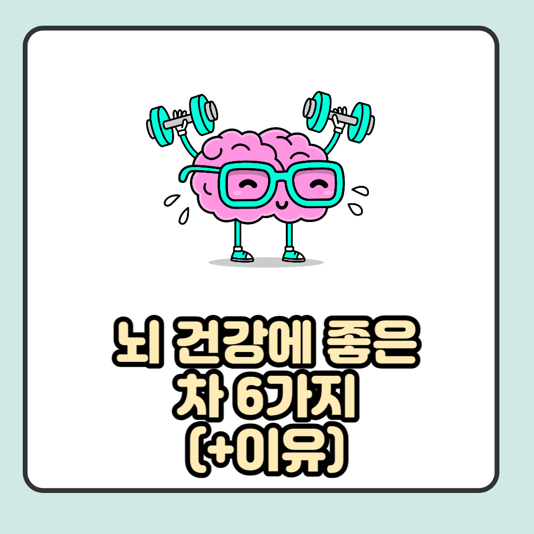 뇌 건강에 좋은 차