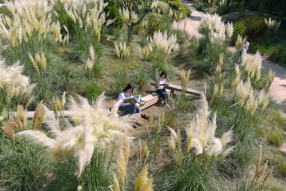 천리포 수목원 가을축제