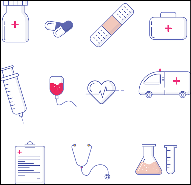 모바일신분증-병원진료-필수준비-정부24-PASS-안내