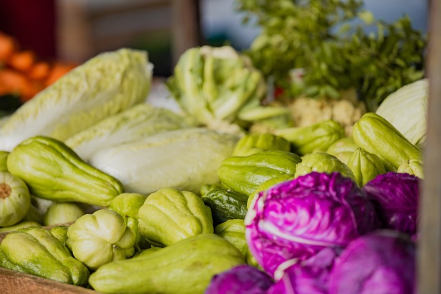 차요테 재배 방법 및 심는 시기 (+ 효능 요리 모종)