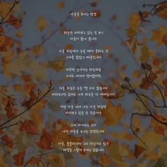 가을 시 모음 5편 추천 선별_5