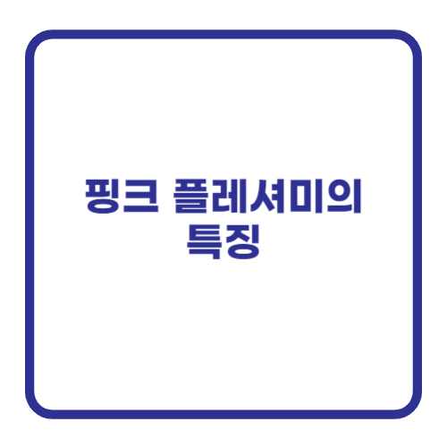 핑크 플레셔미의 특징