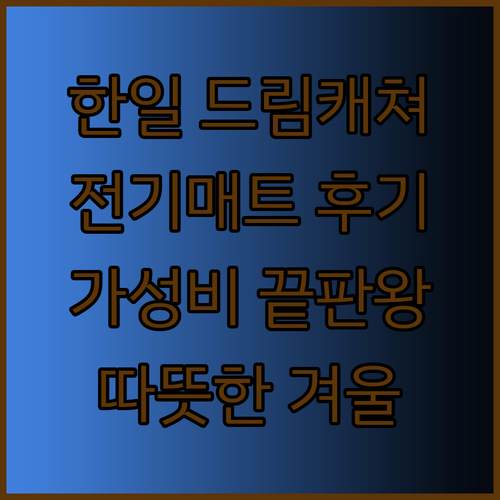 가성비 끝판왕 전기매트 한일의료기 드