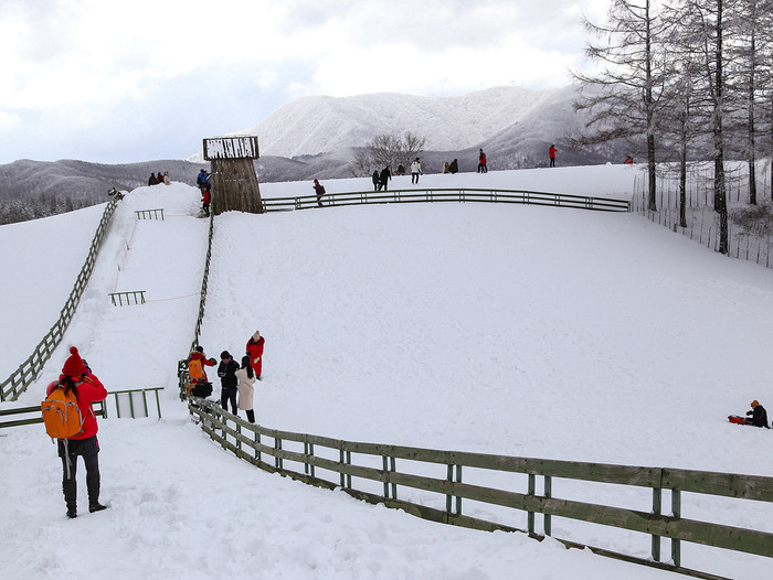 대관령 양떼목장