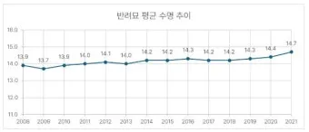 집고양이 vs 길고양이 평균 수명 차이 심층 분석_6