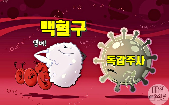 독감주사 맞고 열 감기 몸살 아픈 이유,팁줌