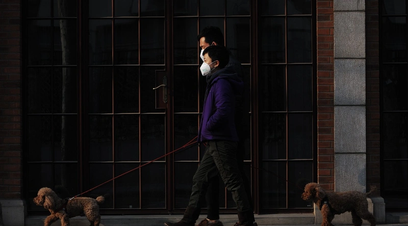 결론: 전선 선택의 중요성