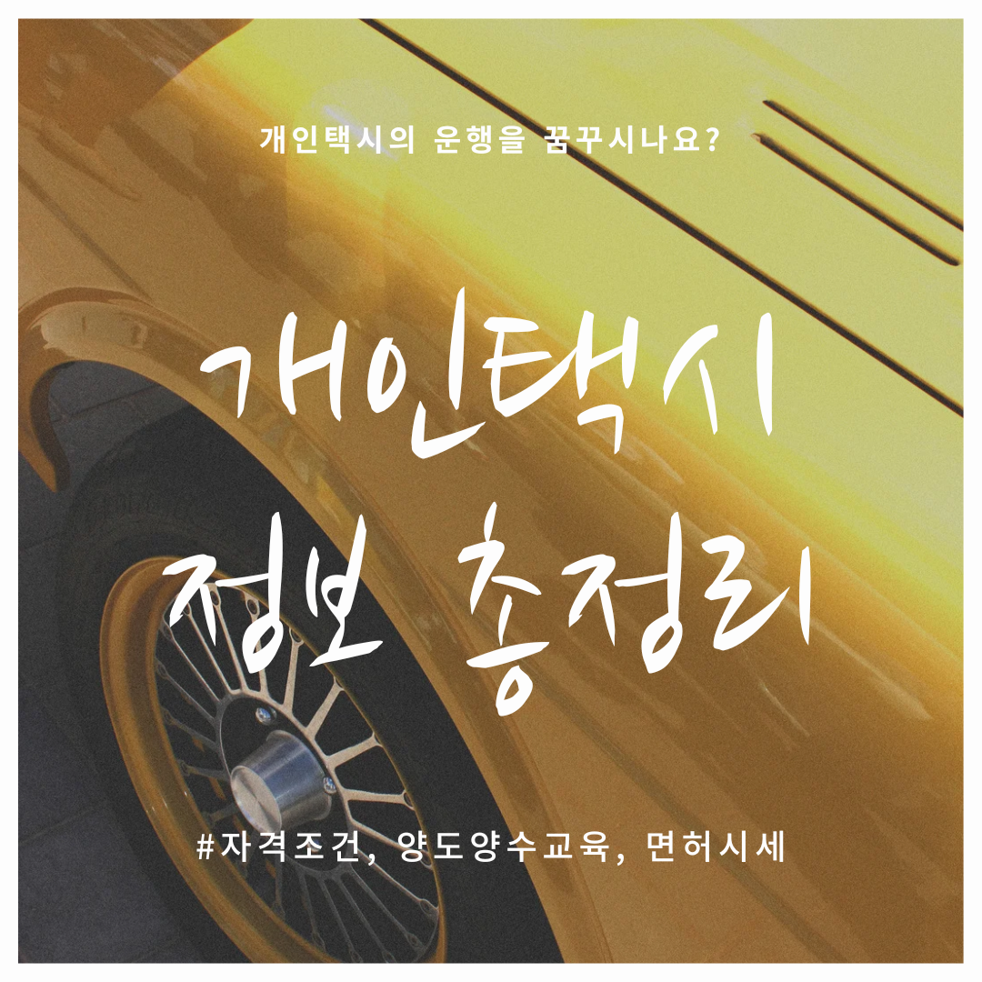 개인택시 정보 총정리